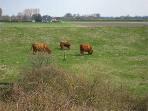 GPSwalking.nl: foto bij GPS wandeling / wandeling / wandeltocht / track / lezing / workshop/ GPS