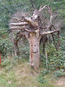 GPSwalking.nl: foto bij GPS wandeling / wandeling / wandeltocht / track / lezing / workshop/ GPS